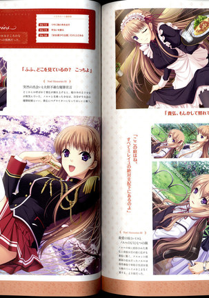 Walkure Romanze Visual Fanbook Page #43