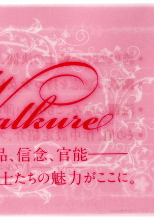 Walkure Romanze Visual Fanbook