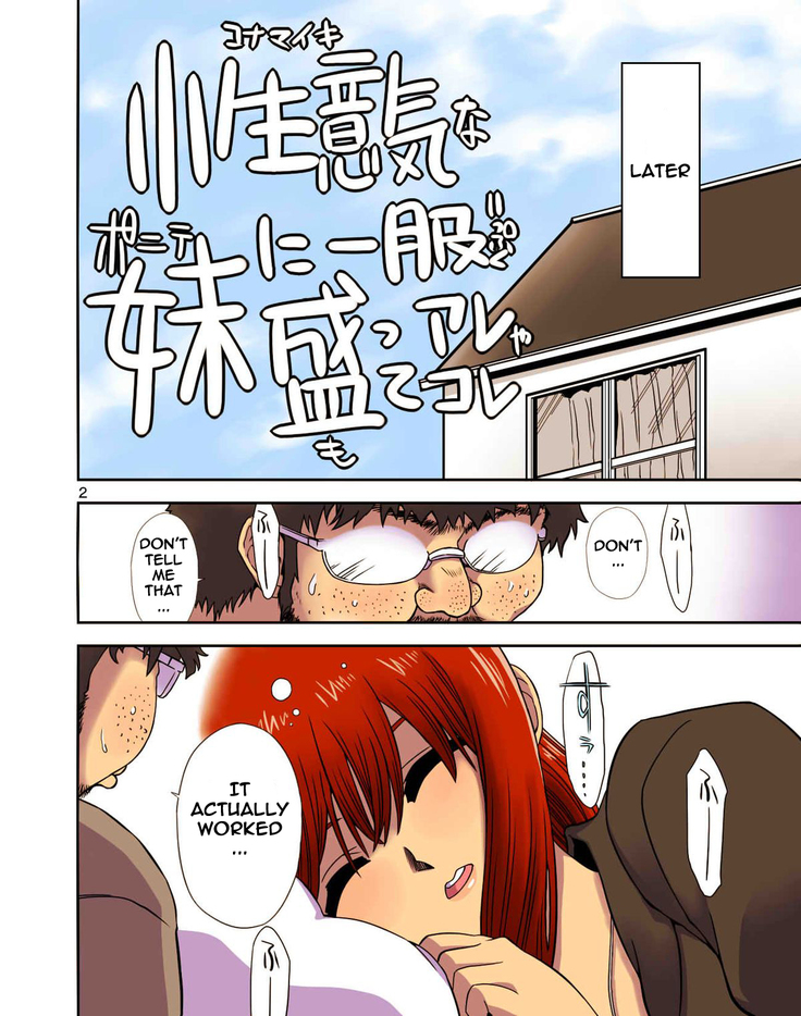 Konamaiki na Poni-te Imouto ni - Buku Motte are ya kore