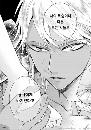 Kyououji no Ibitsu na Shuuai ~Nyotaika Knight no Totsukitooka~ Ch. 14 | 미친 왕자의 왜곡된 포로사랑 ~여체화 기사의 시월 십일~ Ch. 14 - Page 30