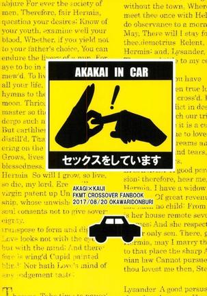 Akakai In Car Page #18
