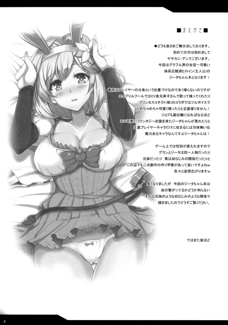 Djeeta x Gra Strike