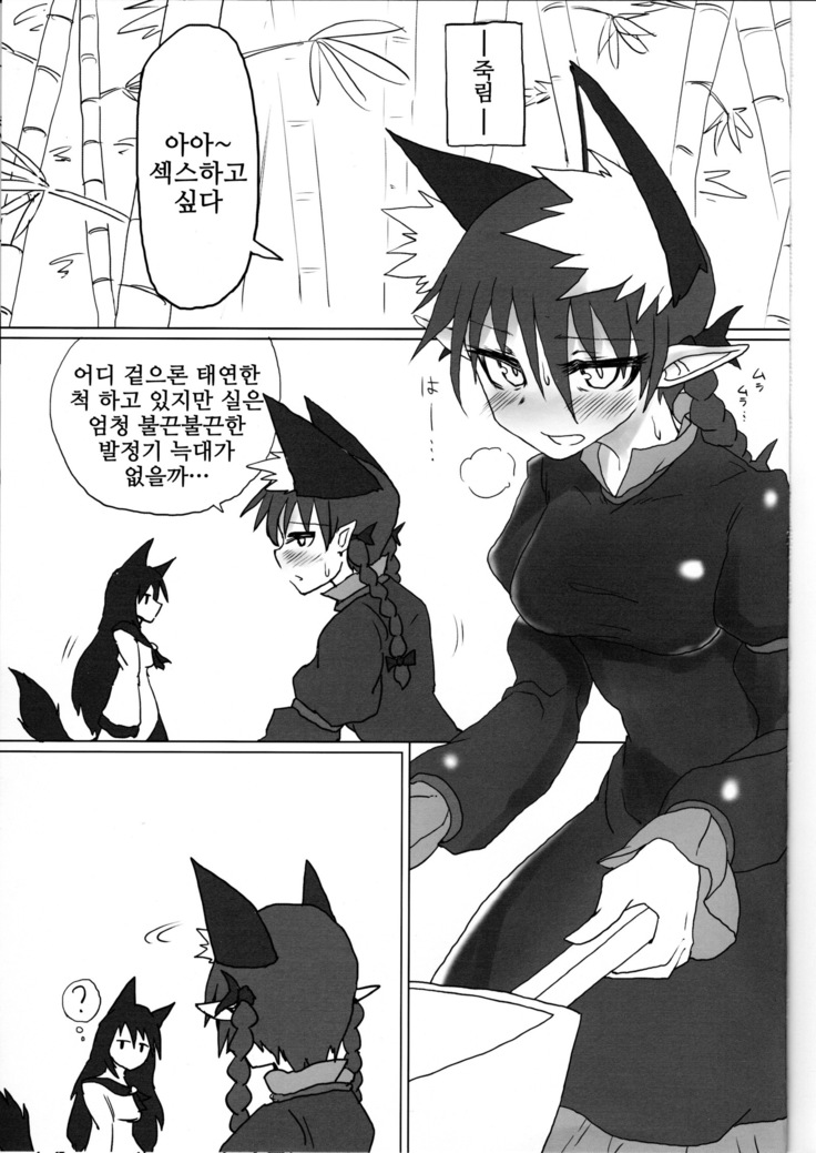 Neko x Wolf. | 고양이 x 늑대.