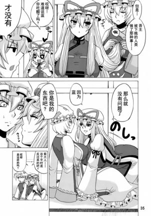 Yukari Ougi Innyuu Kekkai -Honey Bump Touhou Soushuuhen- - Page 35