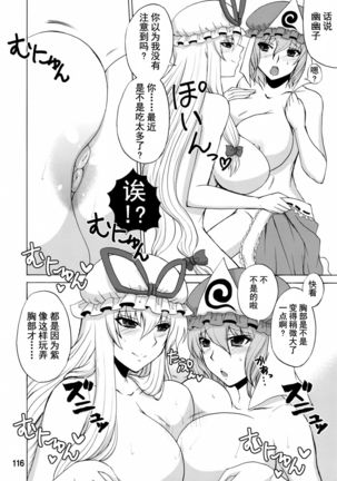 Yukari Ougi Innyuu Kekkai -Honey Bump Touhou Soushuuhen- - Page 115