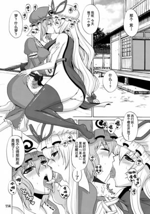 Yukari Ougi Innyuu Kekkai -Honey Bump Touhou Soushuuhen- Page #113