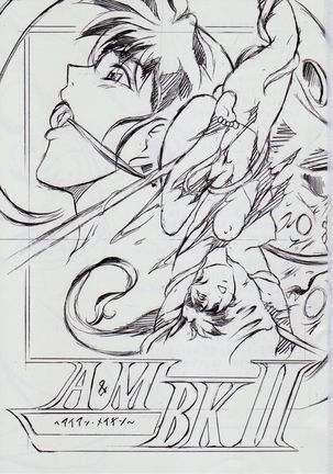 A&M BK~アイアンメイデン~2 Page #3