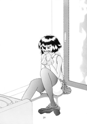 Shijou Saikyou no Fecchi? Page #29