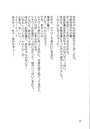Shijou Saikyou no Fecchi? Page #30