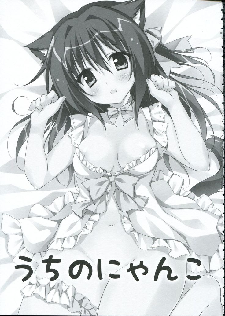 Uchi no Nyanko