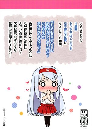 Shoukaku Ecchi na Happening wa Watashi ga Hikiukemasu Page #28