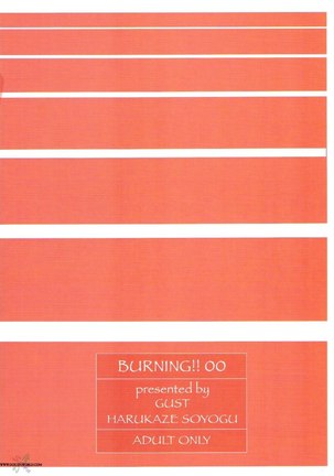 Gundam Seed Destiny - Burning Page #30