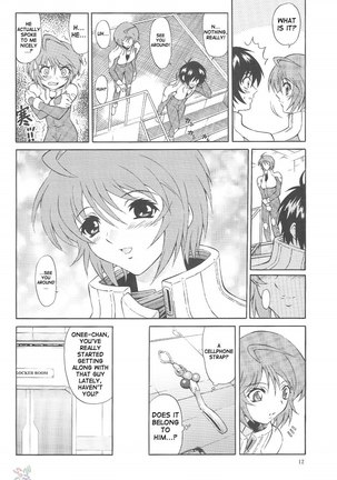 Gundam Seed Destiny - Burning Page #11