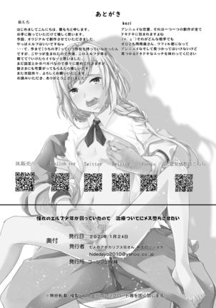 Akogare no Elf Shounen ga Yowatte ita node Chiryou Tsuide ni Mesu Ochi sasetai - Page 24