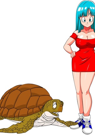 Maron and turtle