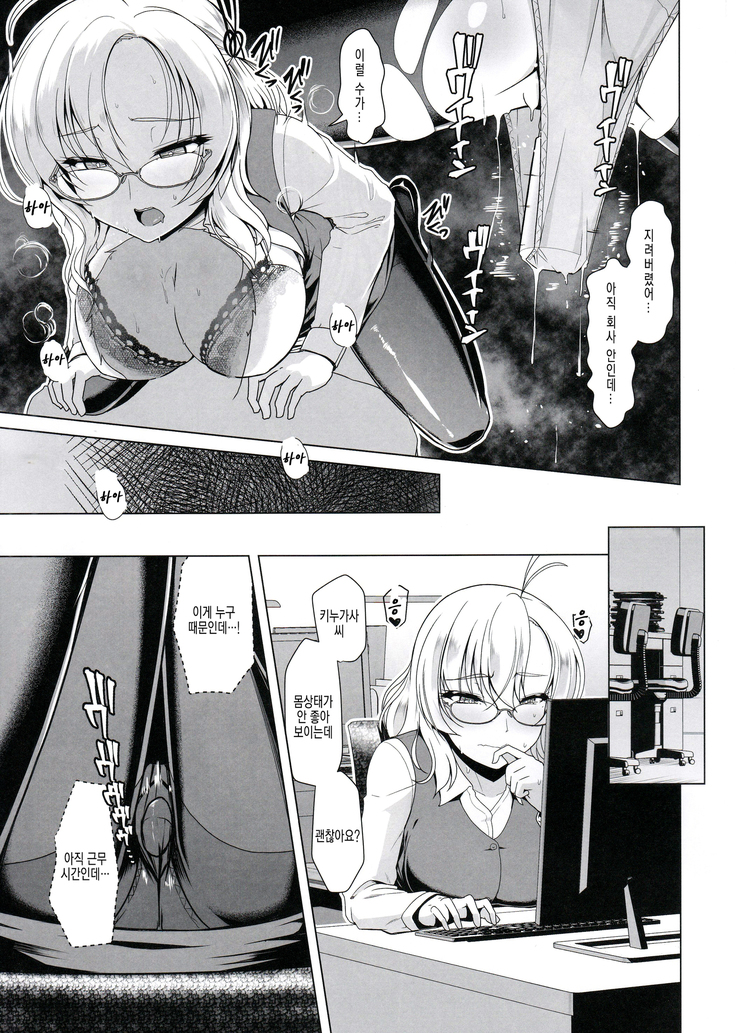 Kanmusu Shouji Kinugasa Hen | 칸무스 상사 키누가사 편