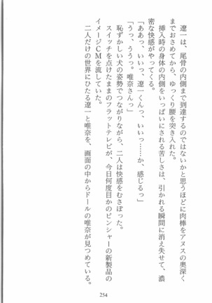 人形少女 イミテーション・ガール - Page 257