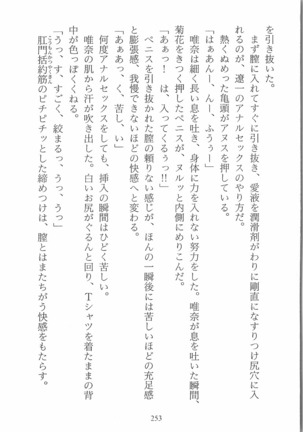 人形少女 イミテーション・ガール - Page 256