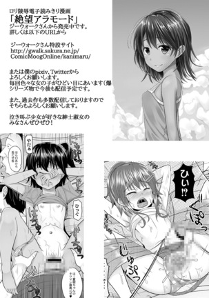 Do-S na Onee-san ga Shota o Youshanaku Choukyou shite Pet ni suru Hon Page #28