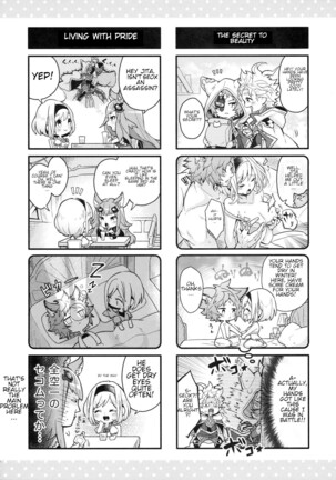 Image 11638647