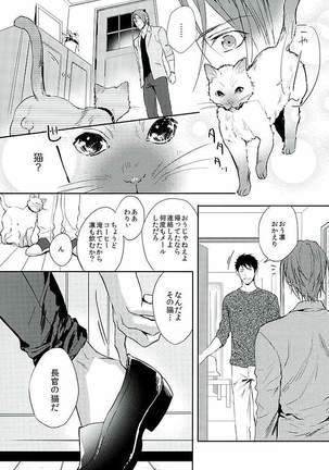 Wagaya no Nyanko-sama - Page 7