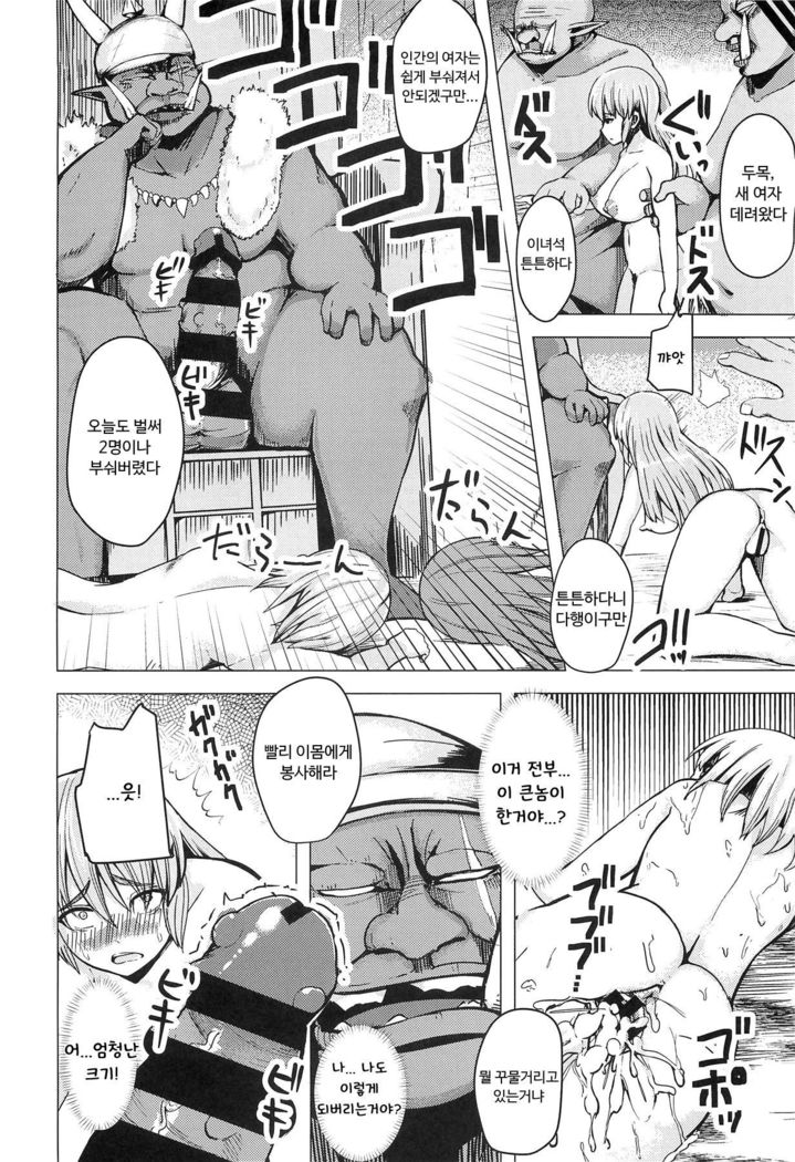 Isekai Teni Shita Watashi wa Orc no Nikuyome ni Narimashita. | 이세계전이한 나는 오크의 육아내가 되었습니다。