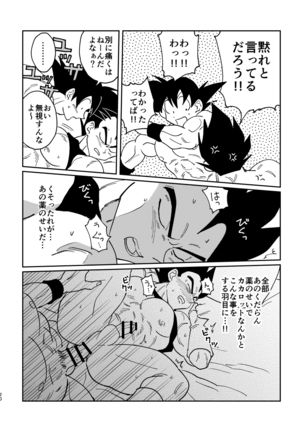 悟空とベジータのボーイズラブ - Page 18