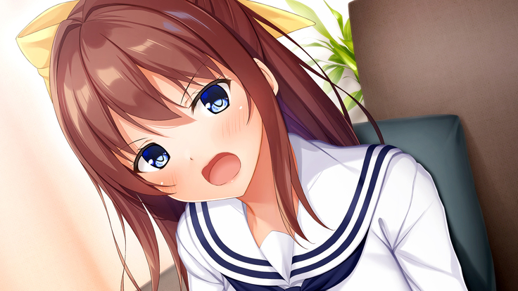 幼馴染JKによる恋の中出しレッスン性活～童貞の俺が好きな人と告白セックスするまで～