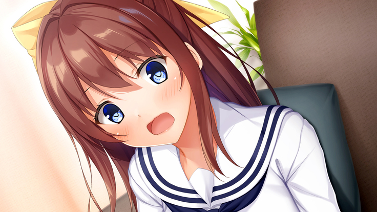 幼馴染JKによる恋の中出しレッスン性活～童貞の俺が好きな人と告白セックスするまで～