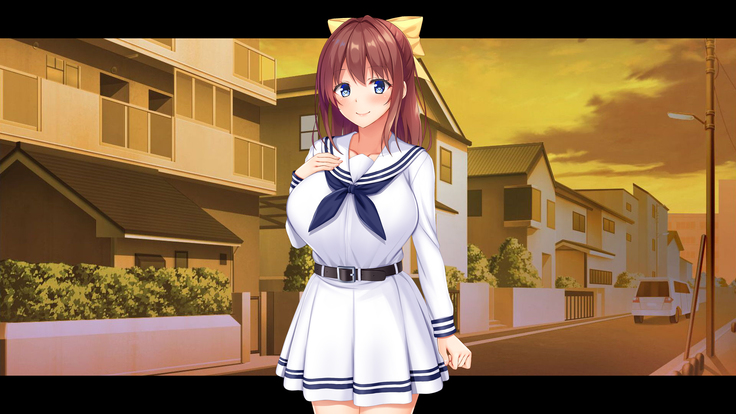 幼馴染JKによる恋の中出しレッスン性活～童貞の俺が好きな人と告白セックスするまで～