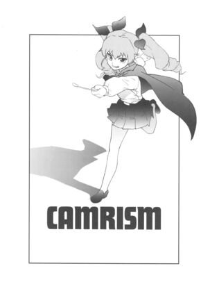 (COMIC1☆13) [Camrism (Kito Sakeru)] Anchovy Nee-san no Bouillon Panty Sakusen-ssu! (Girls und Panzer) - Page 3