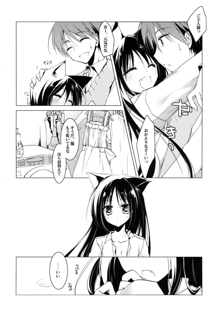 Imitation Kitten 2