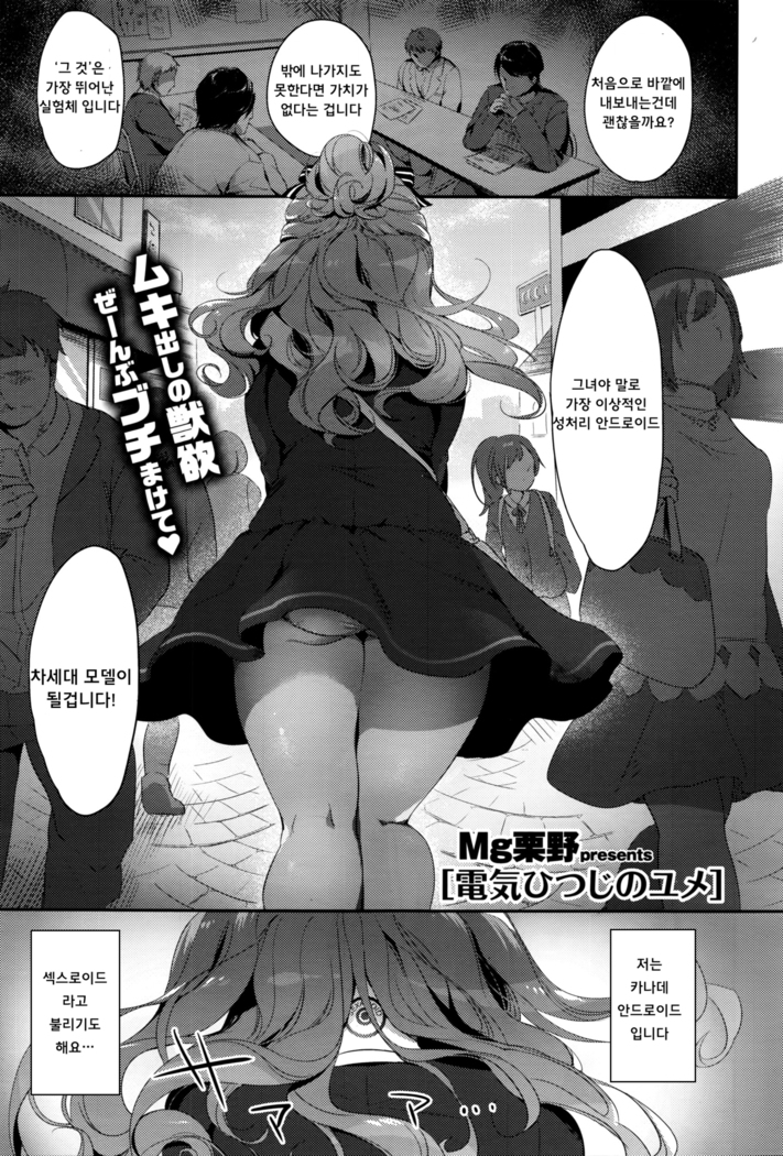 Denki Hitsuji no Yume | 전기 양의 꿈