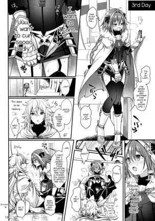 Bitch Servant no Shitsukekata Page #14