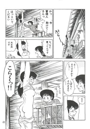 Mibojin Geshuku Fukkoku-ban - Page 41