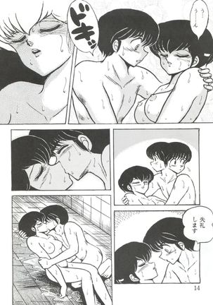 Mibojin Geshuku Fukkoku-ban - Page 14