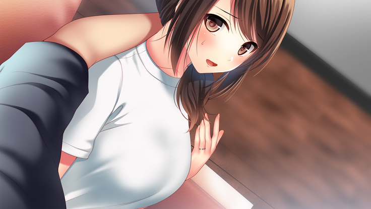 Shinyuu no Tsuma o Netoru Toki. ~Chisato no baai~