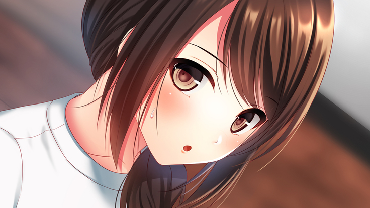 Shinyuu no Tsuma o Netoru Toki. ~Chisato no baai~
