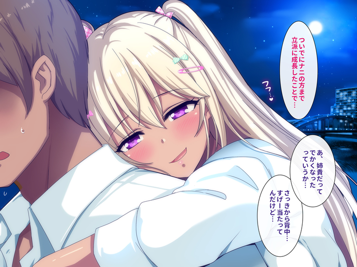 Gal na Onee-san wa Suki desu ka?