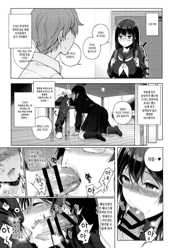 Succubus Stayed Life Soushuuhen