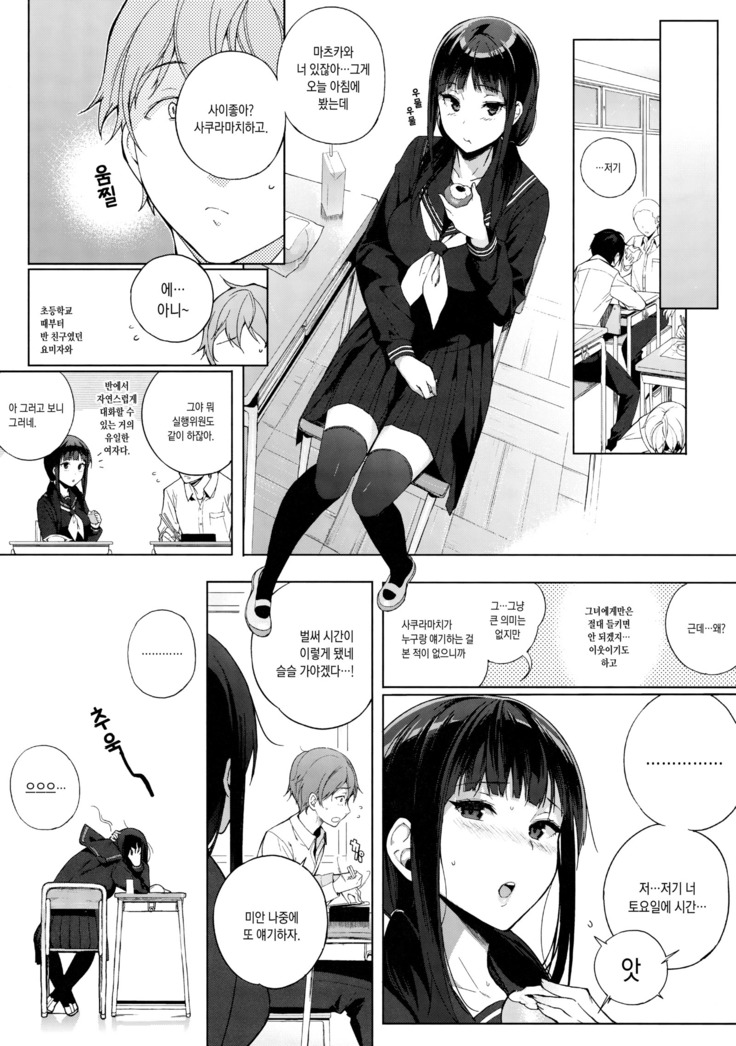 Succubus Stayed Life Soushuuhen