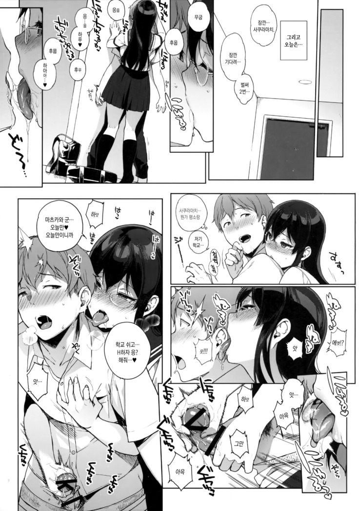 Succubus Stayed Life Soushuuhen