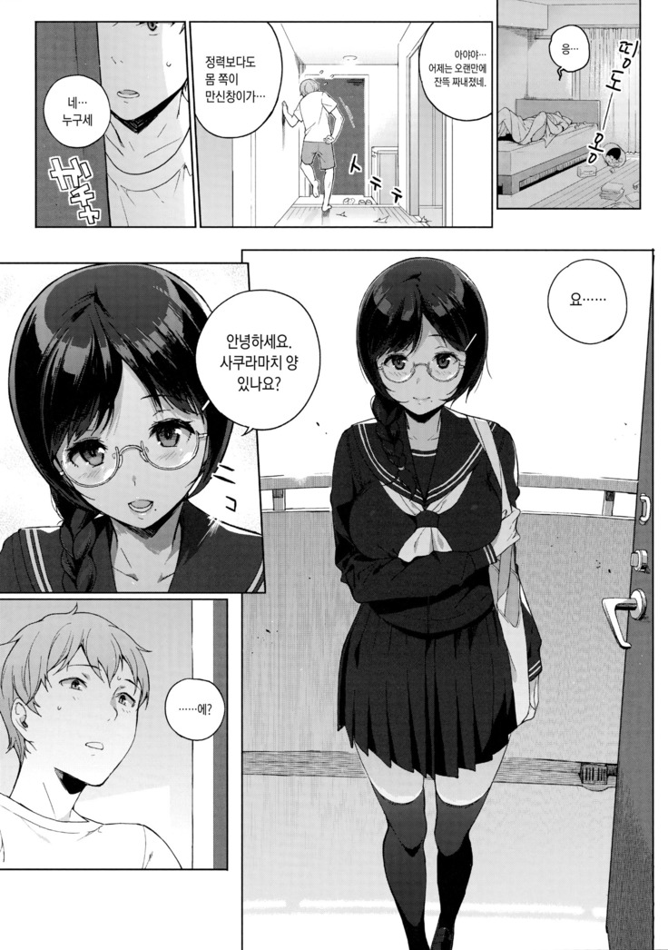Succubus Stayed Life Soushuuhen