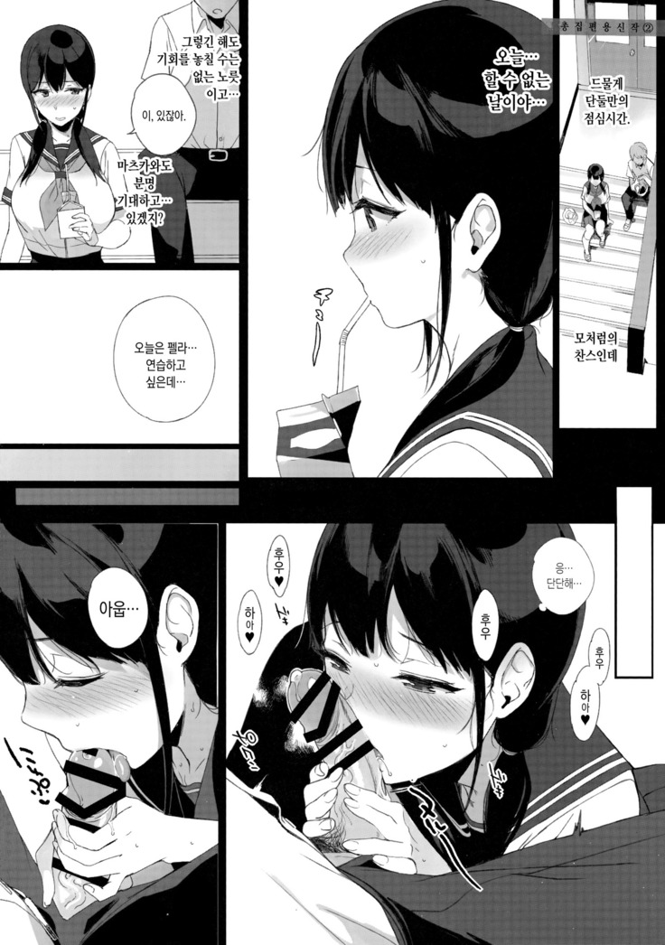 Succubus Stayed Life Soushuuhen