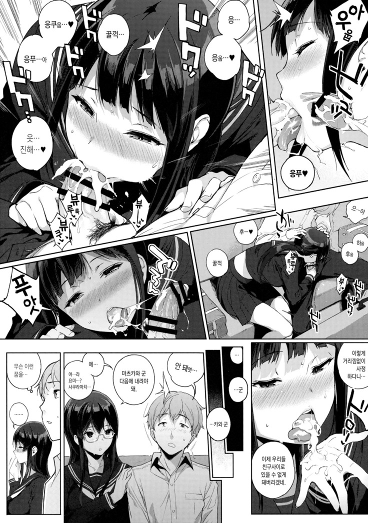 Succubus Stayed Life Soushuuhen