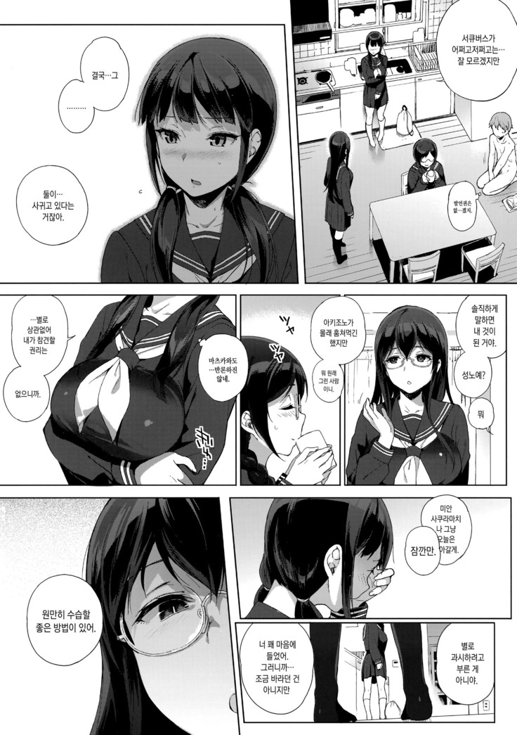 Succubus Stayed Life Soushuuhen