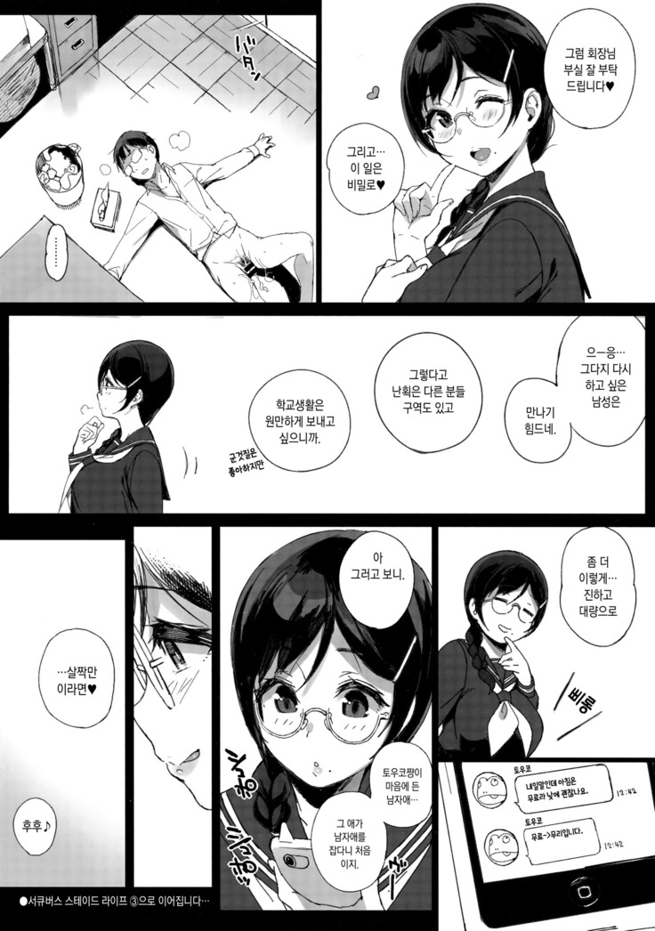Succubus Stayed Life Soushuuhen