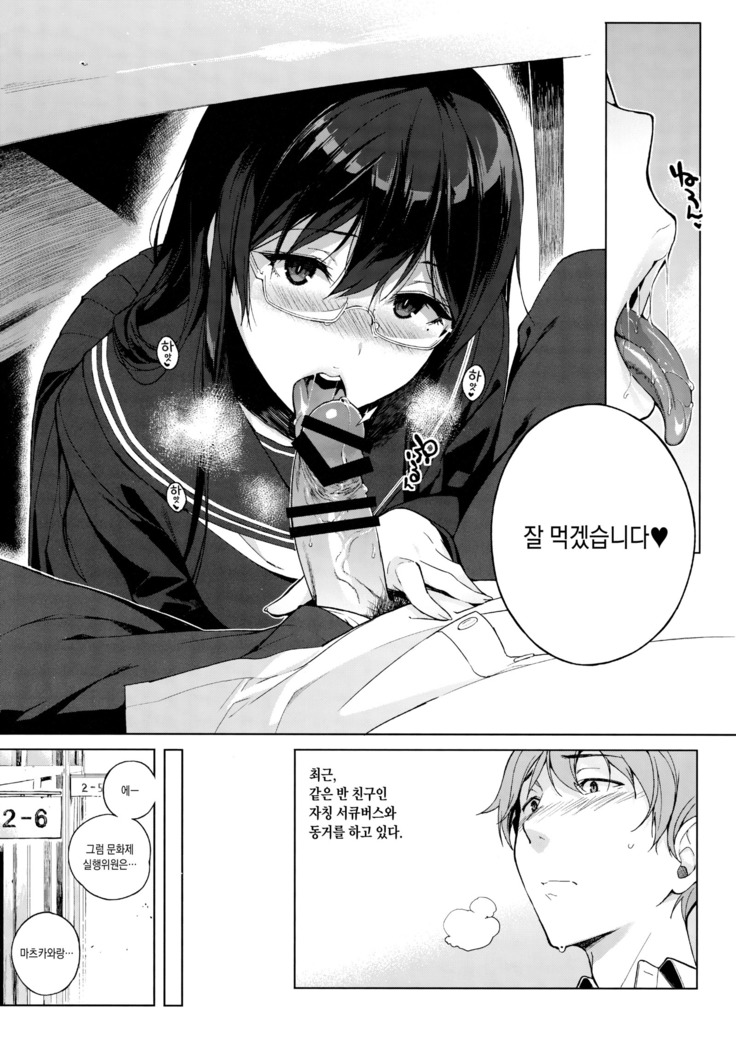 Succubus Stayed Life Soushuuhen