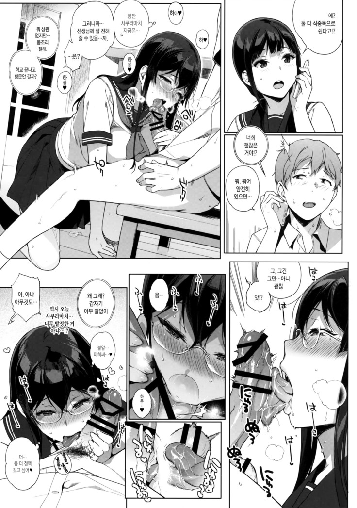 Succubus Stayed Life Soushuuhen