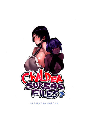 Chaldea Sukebe Files - Page 17
